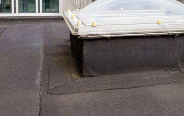 disadvantages of Newton Purcell flat roofs